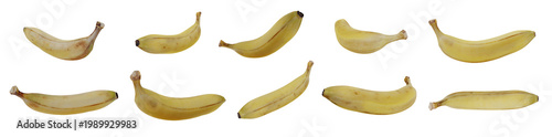 A Collection Of Ten Diverse Ripe Whole Yellow Bananas In Various Curved Poses Isolated 3D Illustration