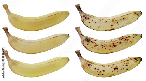 Isolated Yellow Ripe Bananas In Different Stage Of Ripeness With Brown Sugar Spots Senescence Spots 3d Illustration