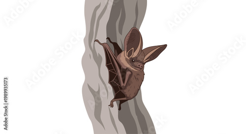 A small brown bat with remarkably large ears clings securely to the textured grey bark of a vertical tree trunk in a simple nature illustration on white.