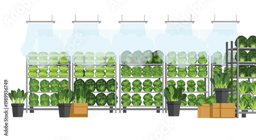 Meticulously arranged rows of leafy green vegetables sit on metal shelves while a cooling misting system provides hydration in a bright indoor setting.