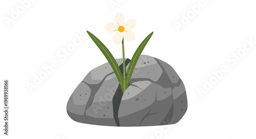 A solitary white flower with a vibrant yellow center grows through a deep crack in a large weathered grey rock under bright even lighting conditions.