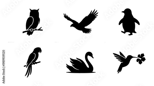 Black bird silhouette collection, set of 6 avian vector icons including owl, eagle, penguin, parrot, swan, and hummingbird, minimalist wildlife graphics