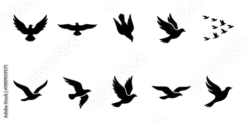 Flying bird silhouettes set, black eagle and dove icons on white background, collection of 10 vector bird shapes, soaring wildlife animal symbols