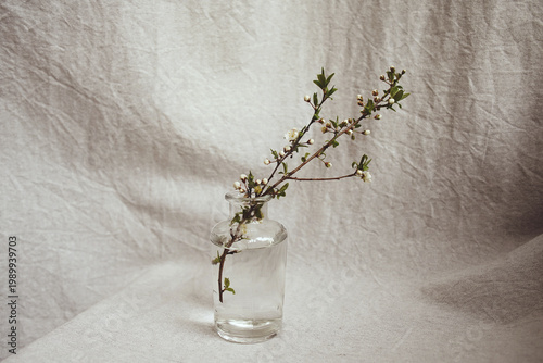 Natural Easter decoration with dried petals, colored eggs, and craft paper