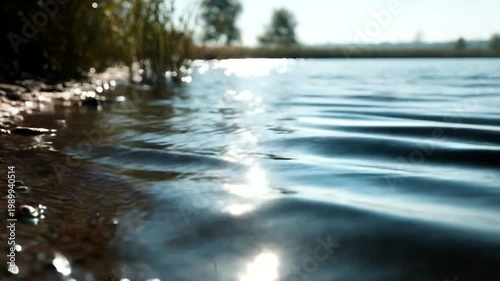 Serene Lake View with Gentle Ripples and Reflections