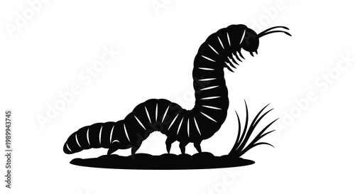 A striking black silhouette of a centipede crawling on the ground silhouette