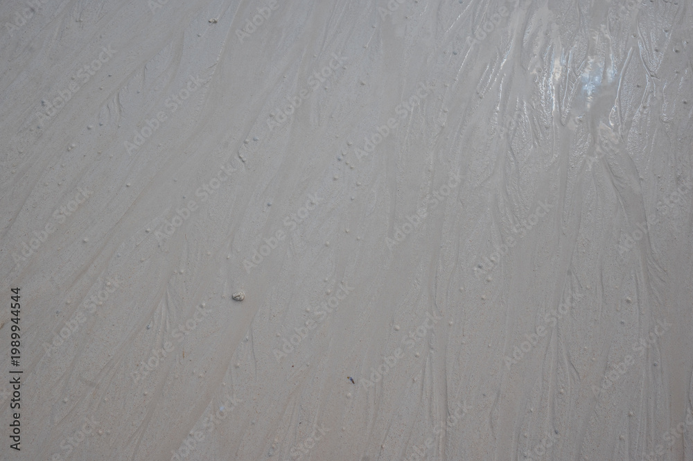 Fototapeta premium The kind of white sands you don’t forget, New Grand Bahamas, The Bahamas