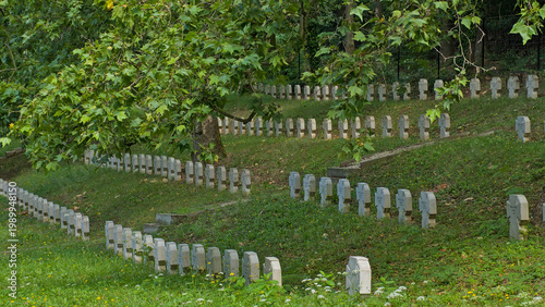 Photography rows of identical tombstones in heroes cemetery, Sopron, Hungary