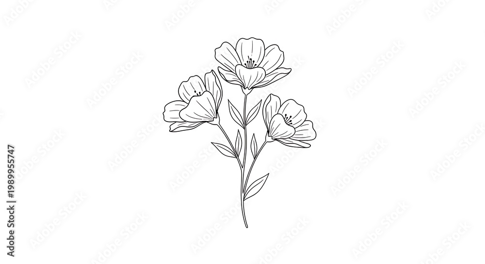 Obraz premium Delicate black and white line drawing of three flowers on slender stems, minimalist style