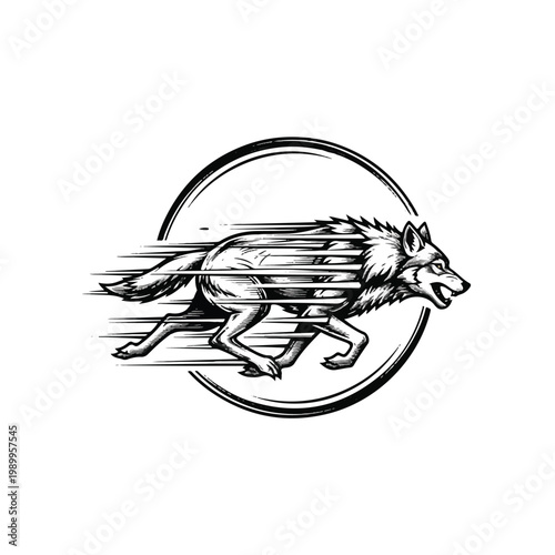 Running wolf in circular motion fast.