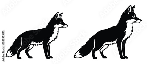 Two black and white fox illustrations in profile