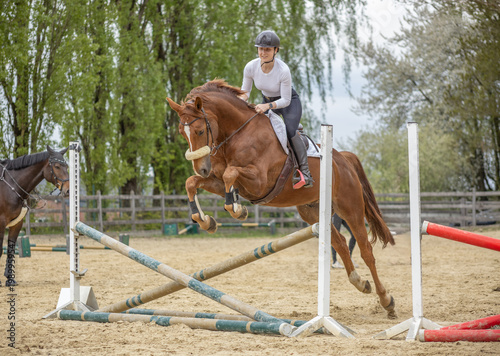 Pferd überspringt sich beim Sprung über ein Kreuz beim Gymnastik-Springen im Frühjahr auf dem Springplatz unter einer jungen Reiterin