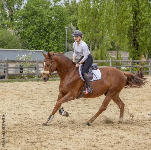 junge Frau reitet einen Fuchs im Galopp im leichten Sitz beim Gymnastik-Springen im Frühjahr auf dem Springplatz