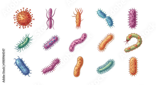 Dinosaur Fossils and Skeletons in Layered Soil