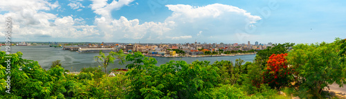 Panoramic View of Havana Bay and Greenery - Cuba
