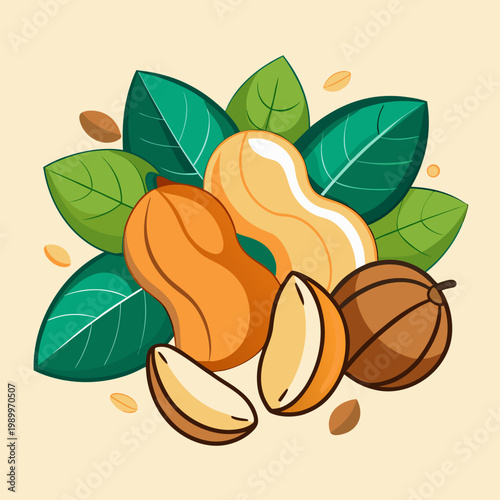 Assorted Nuts with Green Leaves Illustration