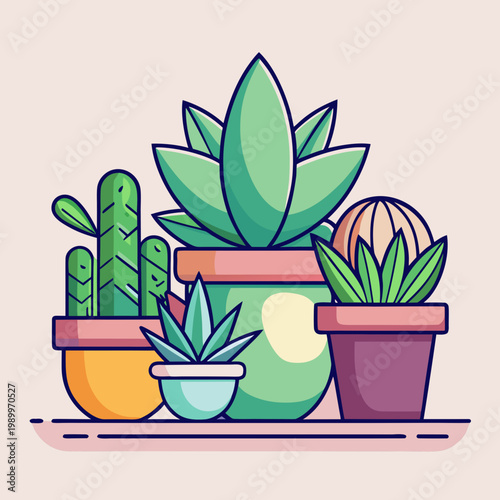 Assortment of Potted Succulents and Cacti