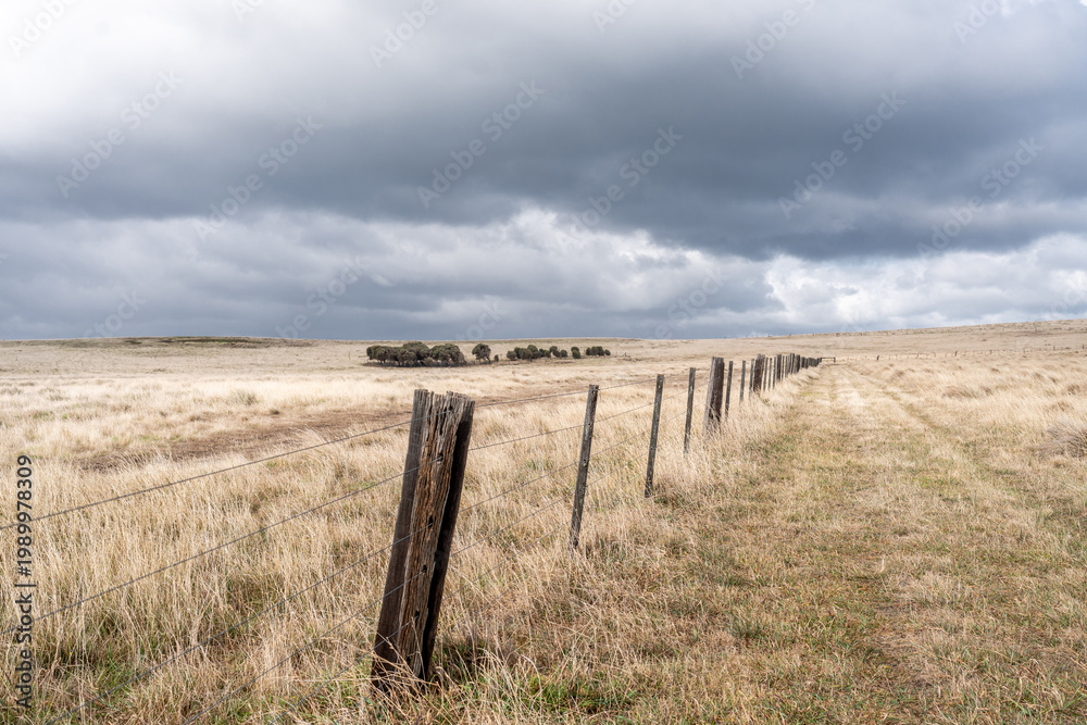 Obraz premium trees in a fenced field on a very cloudy stormy day