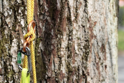 tree-climbing equipment