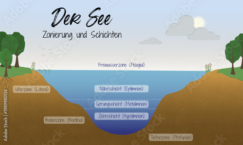 Ökosystem See – Zonierung und Schichtung – wissenschaftliche Illustration
