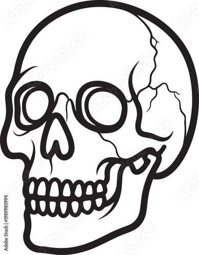 Anatomical skull line drawing with cranial sutures and human anatomy.