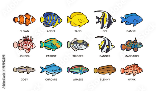 Marine fish species illustrations arranged with species labels