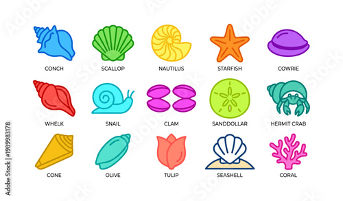Sea shells and marine creatures icons on white background