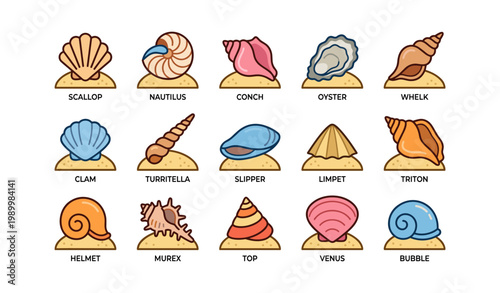 Sea shell icons showing different shell types on sandy bases