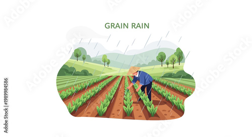 During the Grain Rain Festival Guyu, a farmer tends to crops in neat rows under a gentle spring rain, embodying the Chinese season of agriculture against a backdrop of rolling green hills