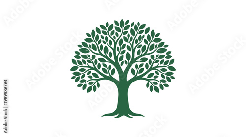 green tree with thick roots and leaves