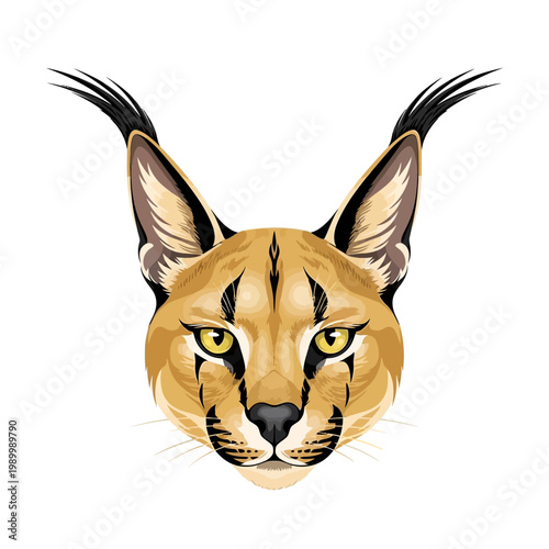 Striking Vector Illustration of a Caracal Head. A majestic wild cat with distinctive pointed, tufted ears and piercing golden eyes, rendered in a modern style