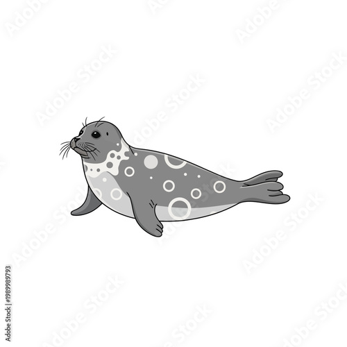 Simple and clean illustration of a harp seal pup with characteristic spots, perfect for educational and nature-themed designs
