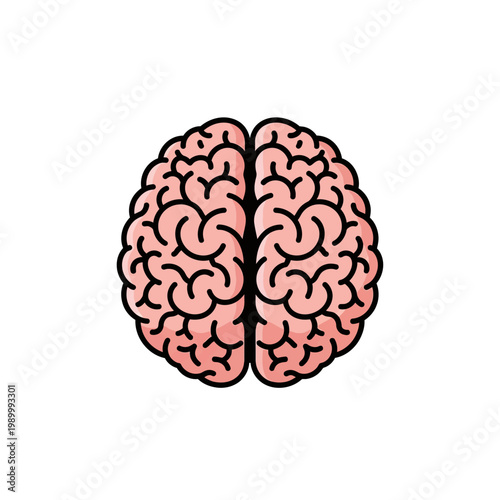 Pink human brain illustration seen from above showing left and right hemispheres with black outlines on a plain white background, ideal for neurology and health awareness.