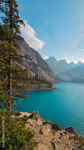 Spectacular view of turquoise Moraine Lake and the Valley of the Ten Peaks in Banff National Park, Alberta, Canada, with a leaning pine tree frame