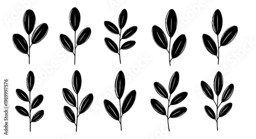 Set of ten black botanical leaf sprigs hand drawn style.