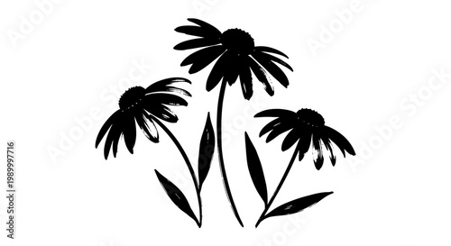 Photos Three stylized black coneflower silhouettes on a white background
