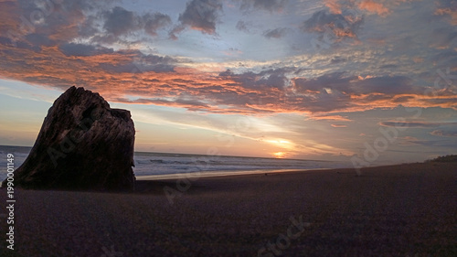 Beautiful seaside sunset with waves and weathered driftwood on the shore, ideal for tourism advertising, beach themes, and relaxing nature visuals.