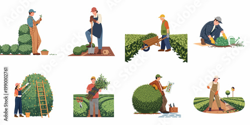 Vector illustration set featuring professional gardeners and landscapers performing various outdoor maintenance tasks like pruning, digging, planting, and raking.