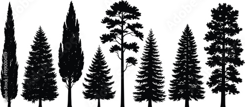 Eight coniferous tree silhouettes including pine, fir, spruce, and cypress shapes for forest, nature, and design concepts