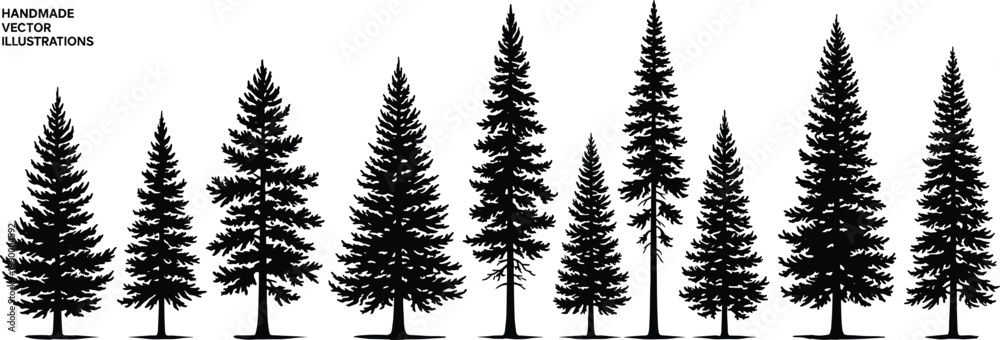Fototapeta premium Hand drawn pine tree silhouettes set, detailed evergreen forest elements isolated on white background for nature, landscape and vintage vector design use