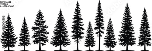 Hand drawn pine tree silhouettes set, detailed evergreen forest elements isolated on white background for nature, landscape and vintage vector design use