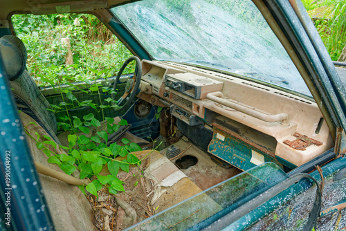 Photos Abandoned car interior overtaken by green plants and rust in outdoor environment