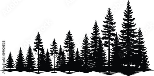 Stylized forest silhouette of tall coniferous pine trees in gradient heights, dark blue black tones for nature design concepts