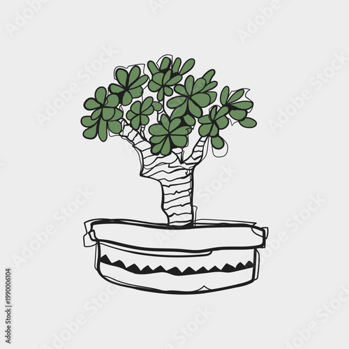 Hand Drawn Doodle Jade Money Tree with Green Leaves in Round Pot Sketch Vector