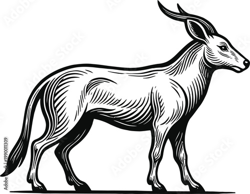 A black and white drawing of a deer like animal