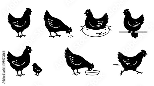 Minimalist set of black chicken silhouette icons featuring hen nesting, eating and running on white background, ideal for poultry farm branding, organic food packaging and mascot logo design