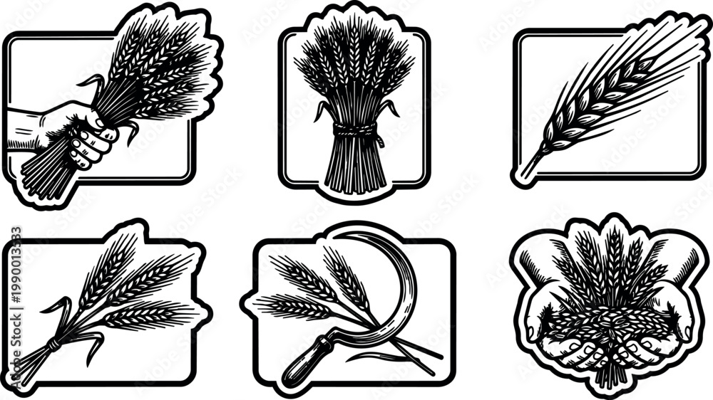 Fototapeta premium Black and white wheat ears bundle hands and sickle vector art