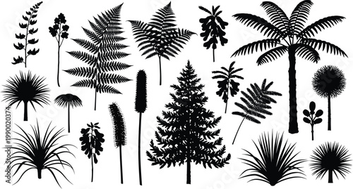 Assorted tropical and forest plant silhouettes with palm tree pine tree plant life plant types plant drawing nature illustration botanical illustration plant design botany collection tropical