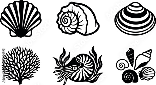 Black and white seashells and coral vector art set with marine motifs