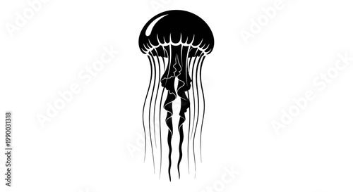 Black jellyfish silhouette isolated on a white background.